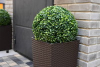 Кашпо из искусственного ротанга уверенно занимают место в оформлении террас и балконов благодаря сочетанию практичности и декоративности. Плетеная фактура смотрится естественно и гармонично рядом с деревом, камнем и текстилем. 