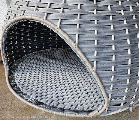 гнездо вход уменьшеный.jpg