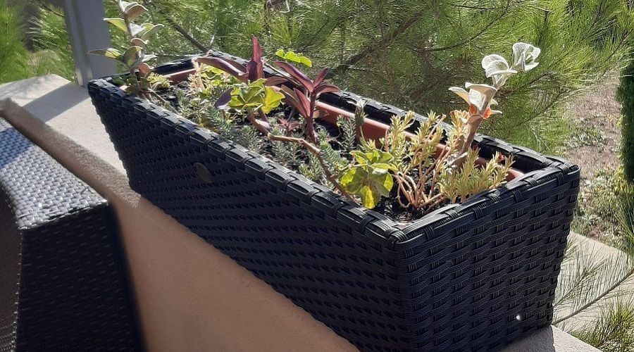 Прямоугольное уличное кашпо для Санатория Дагомыс г.Сочи