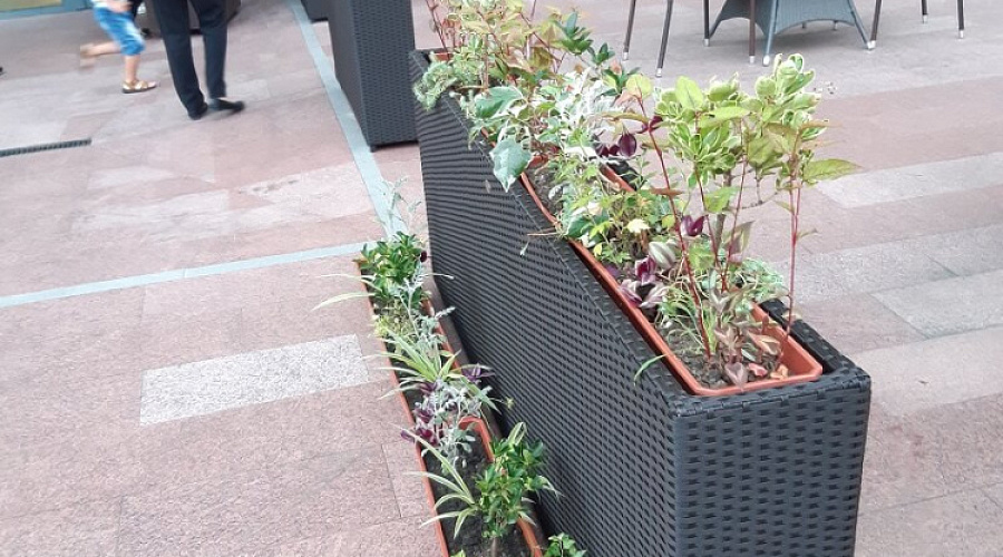 Оздоровительный комплекс «Дагомыс»